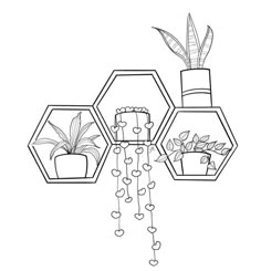 three hexagonals with plants and hearts hanging from the ceiling, one has a potted plant in it