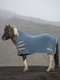 a horse wearing a blanket standing on top of a hill