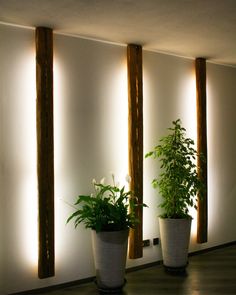 three potted plants are sitting in front of some lights on the wall behind them