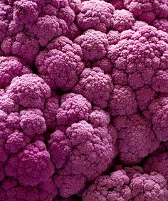 purple cauliflower is shown close up