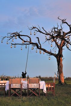 a person sitting at a table in front of a tree with lights hanging from it