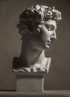 a black and white photo of a bust of a man's head with curly hair