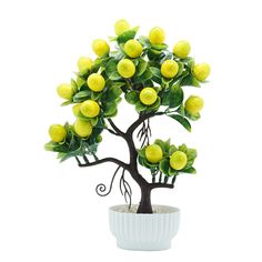 a potted plant with lemons in it on a white table top, isolated against a white background