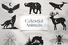 the silhouettes of animals and birds are drawn on paper