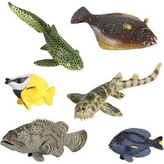 six different types of sea animals on a white background