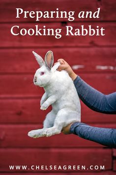 a person holding a rabbit in their hand with the words preparing and cooking rabbit on it