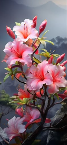 pink flowers are blooming on a tree branch in front of a mountain range with dark clouds