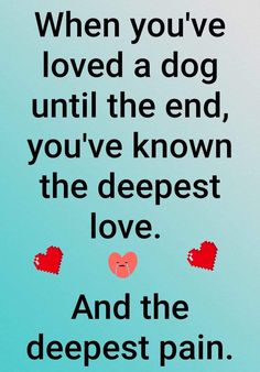 a quote with hearts and the words, when you've loved a dog until the end