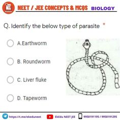 NEET Biology Quiz Liver Fluke, Iq Test Questions, Exam Preparation Tips, Test For Kids, Brain Test, Neet Exam