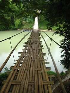 a wooden bridge over water surrounded by trees