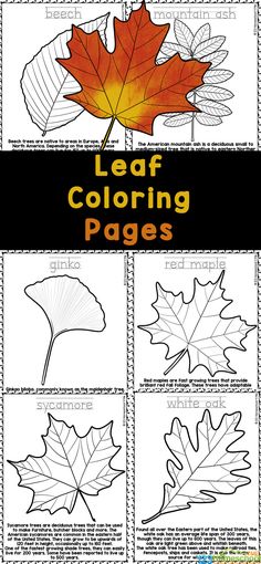 leaf coloring pages for fall and autumn