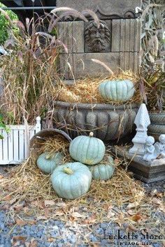 pumpkins and gourds are stacked on top of each other in a garden