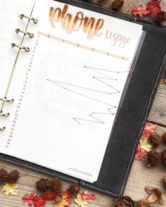 an open planner with gold foil lettering and pine cones scattered around it on a wooden table