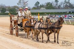 two men riding in a horse drawn carriage on a dirt track while people watch from the stands