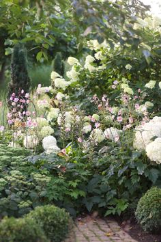 the garden is full of white and pink flowers