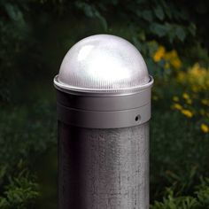 a light that is on top of a pole in front of some bushes and trees