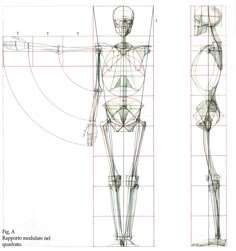 the human figure is shown in three different views