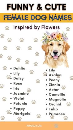 a dog with flowers on its head and the words, funny & cute female dog names inspired by flowers