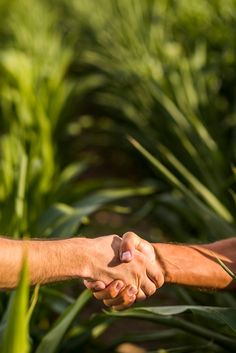 two people shaking hands in front of some green plants and grass on a sunny day