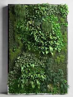 a green wall with plants growing on it