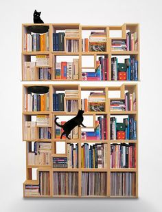 a cat sitting on top of a book shelf filled with books