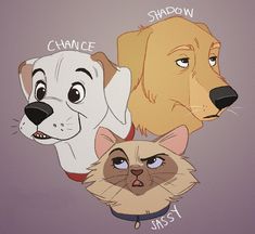 three different dogs and cats with the words shadow, chance, chance, jass