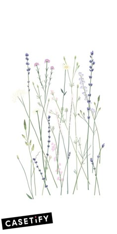 some purple and white flowers on a white background with the words casetify above it