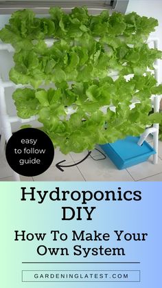 the hydroponics diy how to make your own system is easy and fun