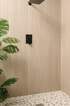 a bathroom with a shower head next to a plant