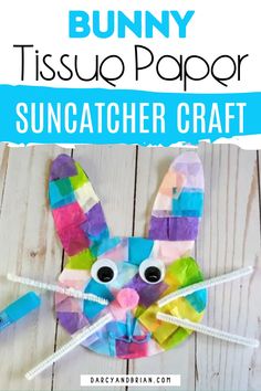 an easy paper plate bunny craft for kids to make with the suncather craft