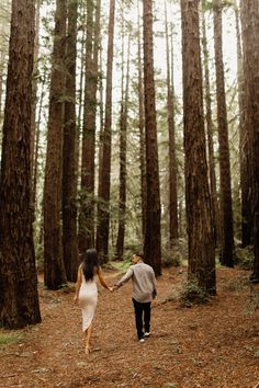 a man and woman holding hands walking through the woods in front of tall pine trees