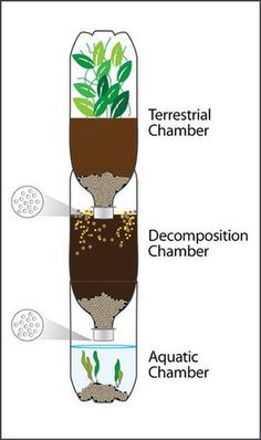 the diagram shows how water is being used to make plants grow in their own soil