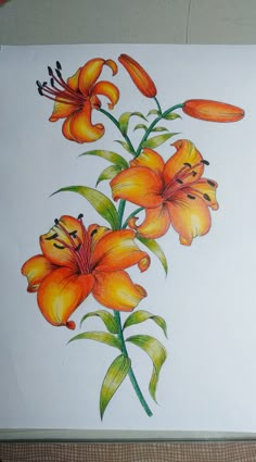 a drawing of orange flowers on a white paper