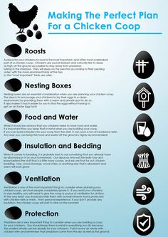 the chicken coop plan is shown in black and white, with instructions on how to use it