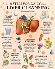 Maintain a healthy liver by following these steps 🤲🏾 As the liver is a vital organ, it is important to give it the care it needs. Our livers work hard to cleanse the toxins out of our bodies. Let’s take care of them 👍🏽 دورة شهرية, Routine Checklist, Magia Das Ervas, Resep Diet