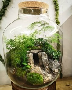 a glass jar filled with plants and rocks