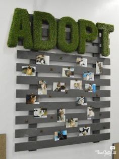 the word aoom is made out of grass and photos on a wooden pallet