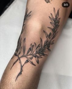 a tattoo on the arm of a person with an olive branch