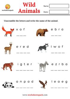 Free printable wild animals worksheets for young learners. Wild Animals Worksheets For Kids, Animals Worksheets For Kids, Zoo Activities Preschool, Printable Sight Words, Word Puzzles For Kids, Animal Writing, Animal Activities For Kids