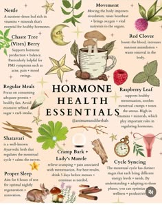 Hormone Harmony, The Endocrine System, Chaste Tree, Raspberry Leaf, Nourishing Meals, Hormonal Health, Healthy Hormones