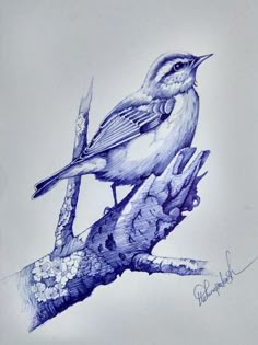 a drawing of a blue bird sitting on a branch with flowers in it's beak