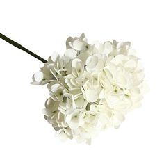 a bunch of white flowers are in a vase