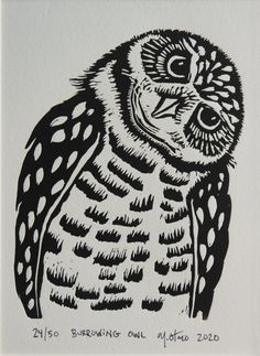 Linocuts — mattotero.com Printmaking Linoleum, Bird Ideas, Black Illustration, Burrowing Owl, Linocut Printmaking, Lino Art, Engraving Illustration, Animal Svg, Owl Tattoo