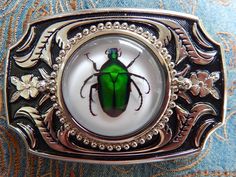 We are a small independent company based in Derbyshire.We source our materials/parts Worldwide  and then handcraft /assemble our items in our workshop to create something a little different High Quality solid metal large belt buckle size 9cm x 6cm will fit up to a 40mm wide belt Genuine Chafer Beetle set in resin white background very detailed. We make these up to order and every one is different so will vary from image. Really cool look with a black leather belt We will refund you £5 if you pur Black Leather Belt, Green Rose, Wide Belt, Fall Fits, Suspender Belt, Leather Belts, Belt Buckles, Silver Color