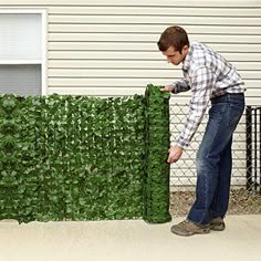 a man standing next to a tall green hedge