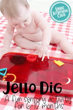 a baby playing with a red tray on top of a checkered table cloth and the words jello dig