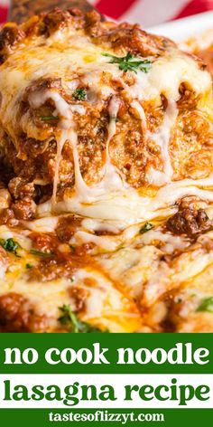 a close up of a pizza on a plate with the words no cook noodle lasagna recipe