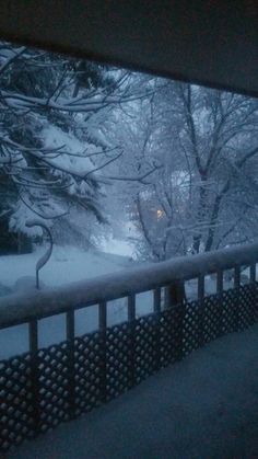 snow covered trees are seen through the window of a building at night, with street lights visible in the distance