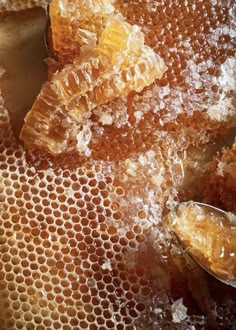 some honey is sitting on top of a table