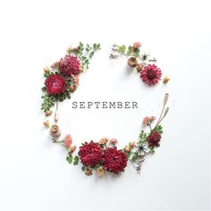 flowers arranged in the shape of a circle on top of a white background with the words november written across it